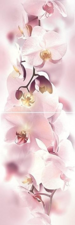 Orchid 20*60 панно P2D135
